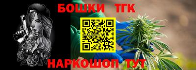 прущие грибы Канаш