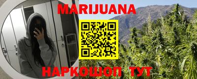 прущие грибы Канаш