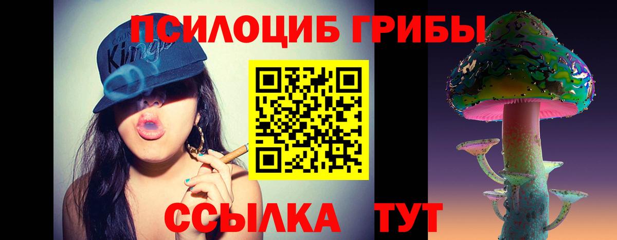Галлюциногенные грибы GOLDEN TEACHER  Псилоцибиновые грибы мухоморы  Арсеньев  Вход с VPN 