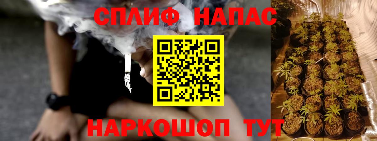 Бошки марихуана конопля  Вход с VPN  Бошки Шишки Bruce Banner  Арсеньев  Бошки Шишки VHQ 